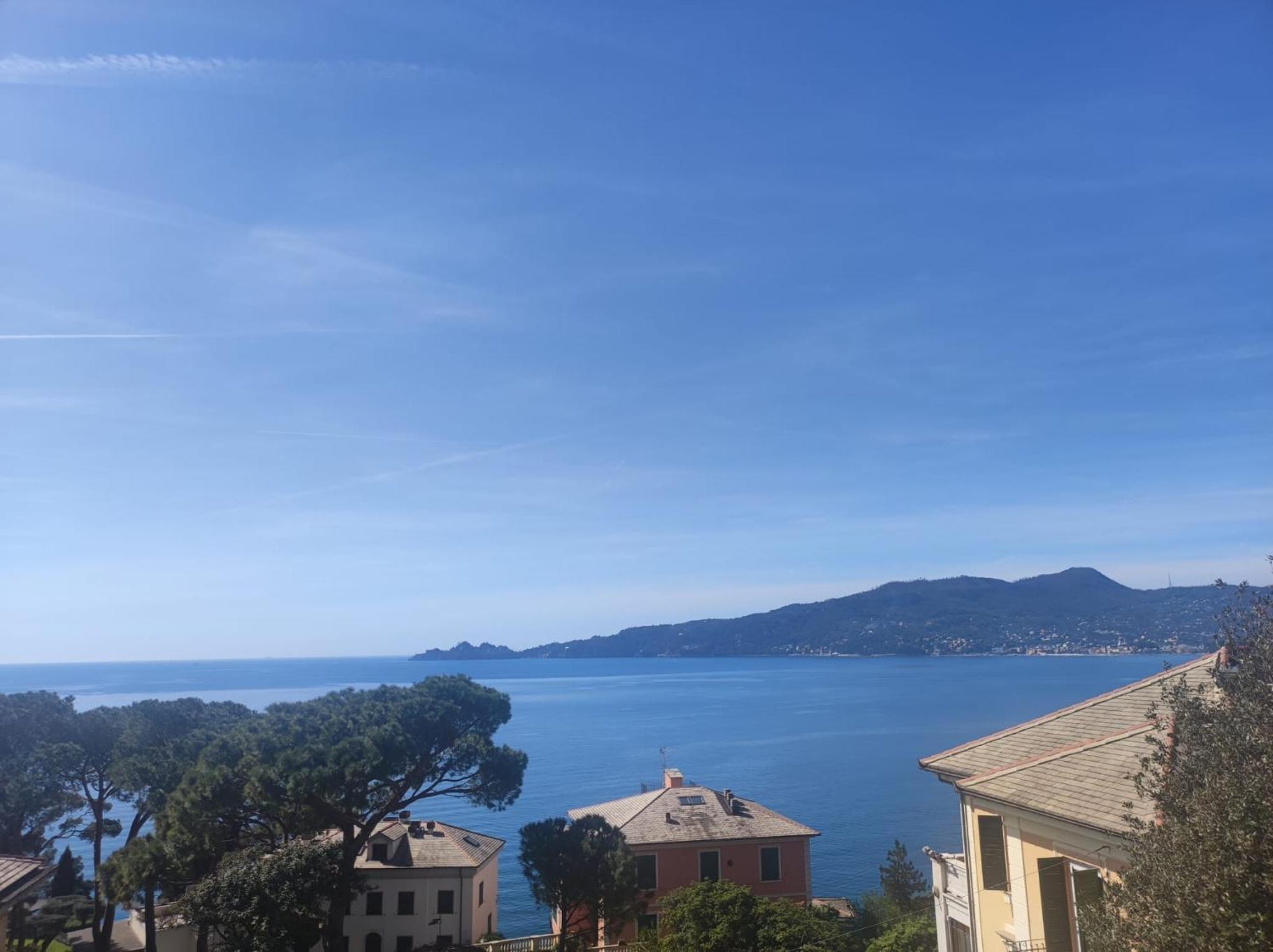 Al Mare Davanti A Portofino - By The Sea In Front Of Portofino Zoagli Ngoại thất bức ảnh