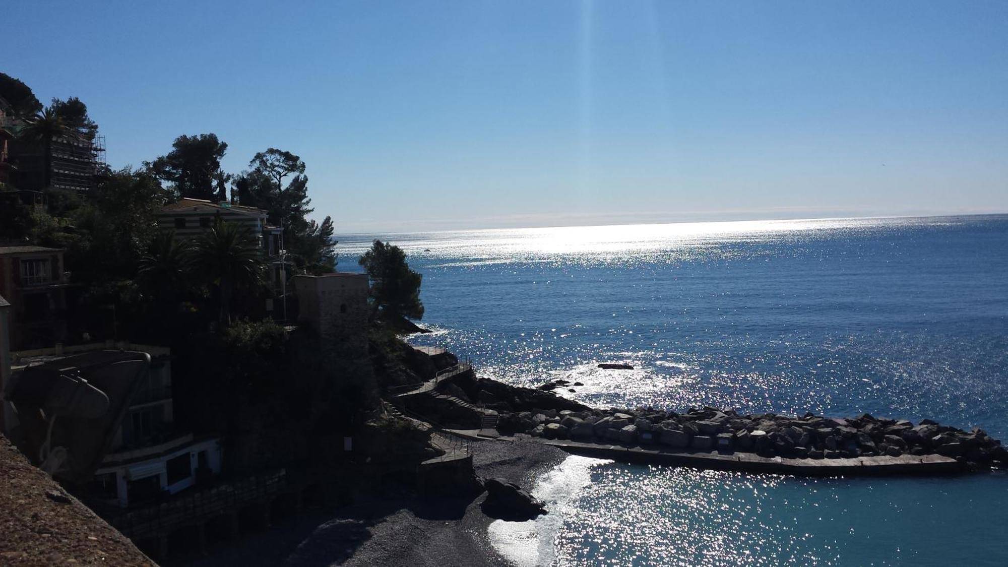 Al Mare Davanti A Portofino - By The Sea In Front Of Portofino Zoagli Ngoại thất bức ảnh