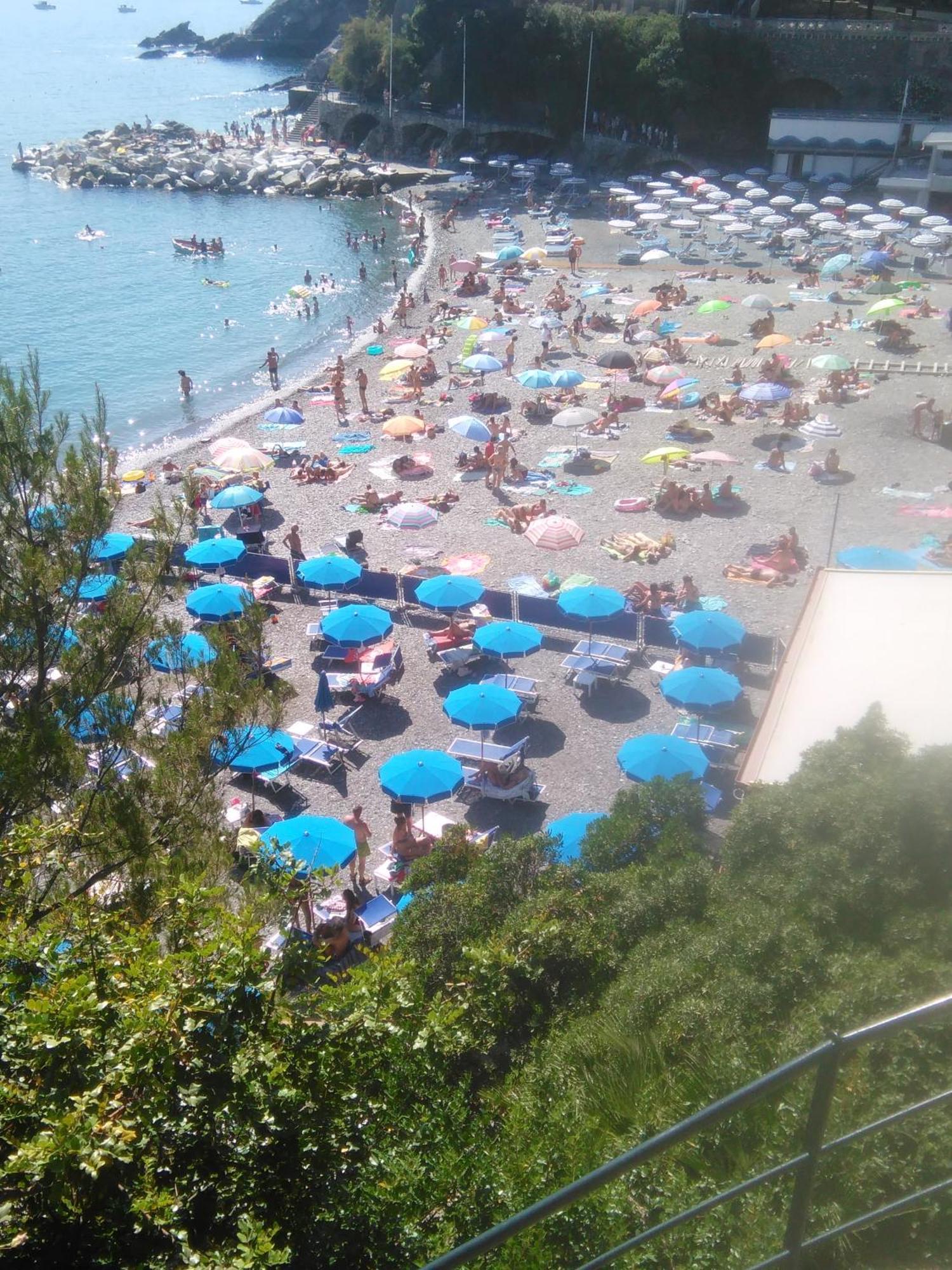 Al Mare Davanti A Portofino - By The Sea In Front Of Portofino Zoagli Ngoại thất bức ảnh